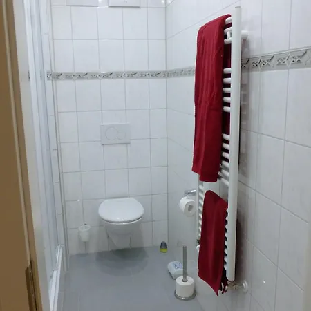 Altes Vogtshaus וייל אם ריין